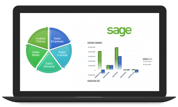 Sage-XRT-Treasury-SEI-2-600×362 Sage XRT Treasury